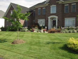 Assorted Photos from July 2003