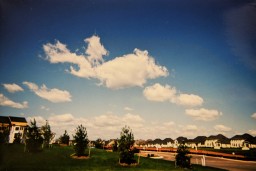 Scans from Archive Prints