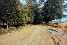 Scans from Archive Prints